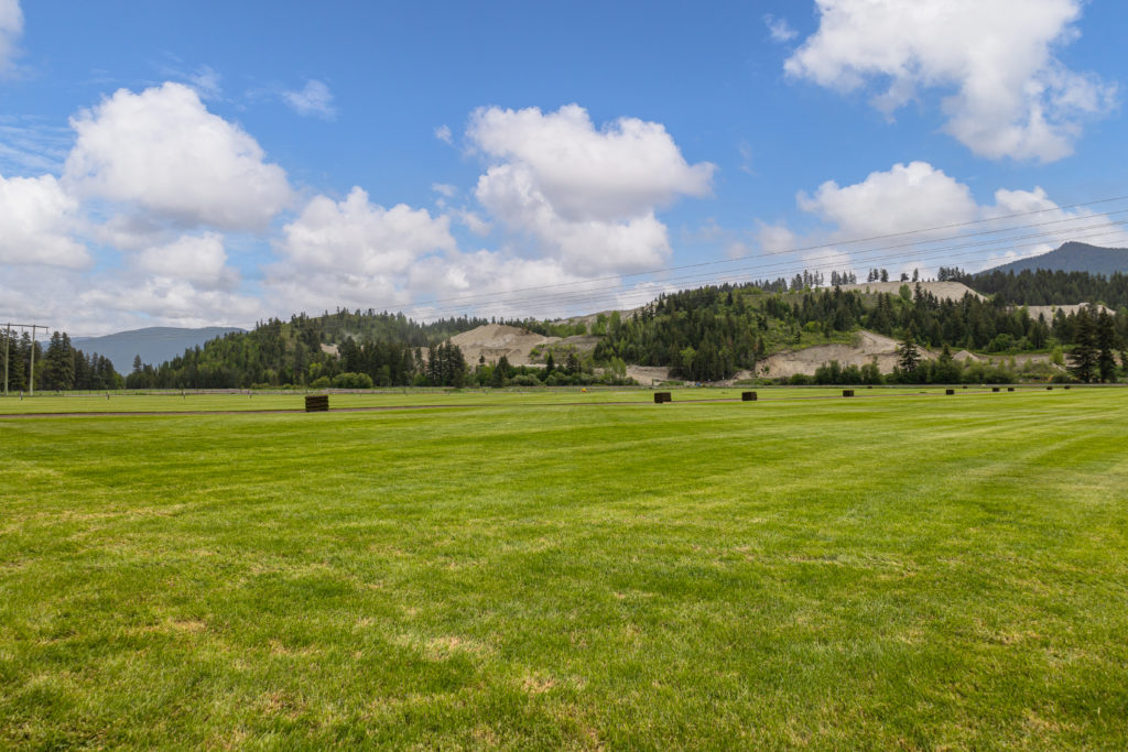 Large open grass scenery