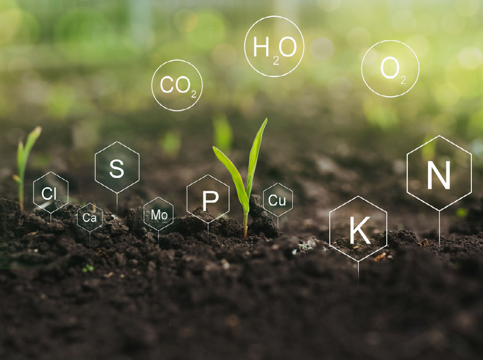 PH levels of soil