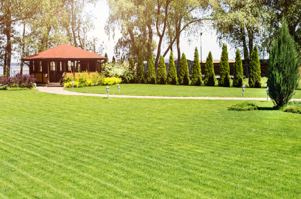 turfed lawn