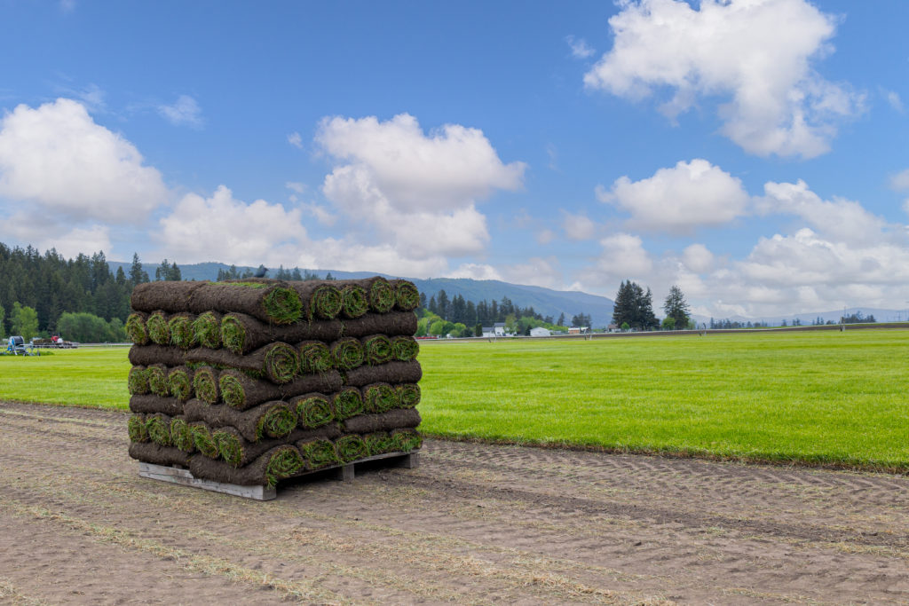 pallet of sod