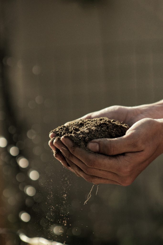 hand holding organic topsoil