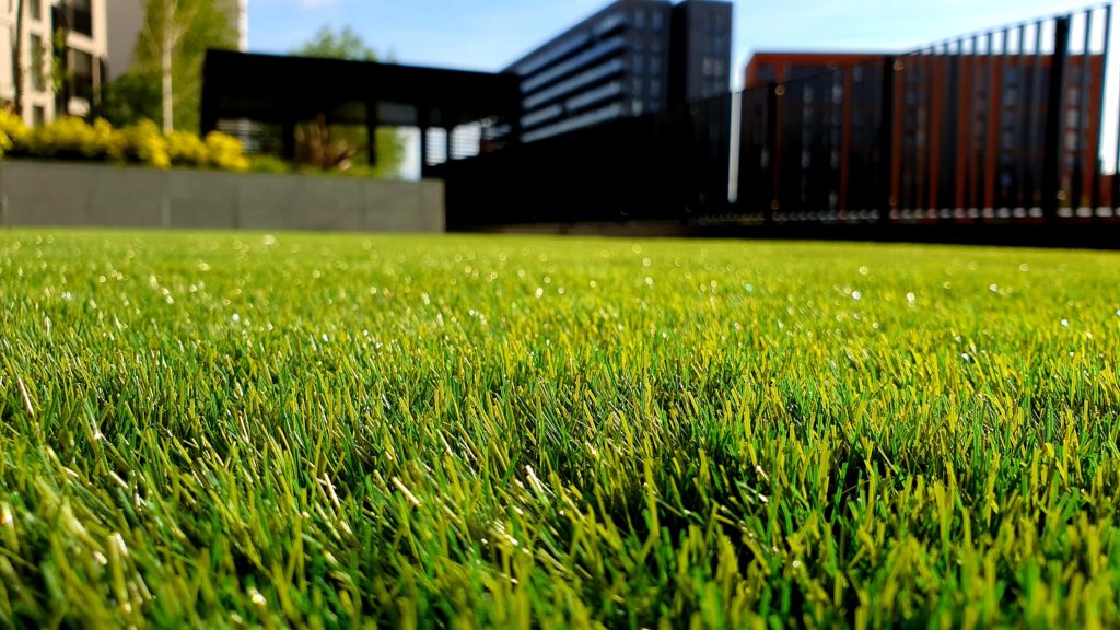 beautiful green turf