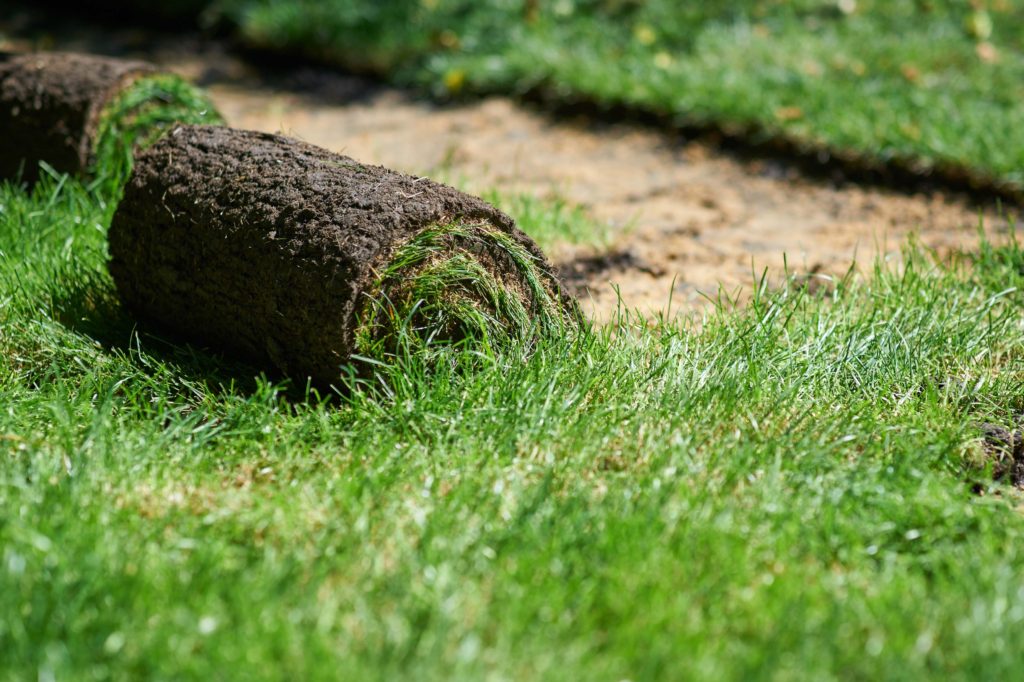 Installing sod