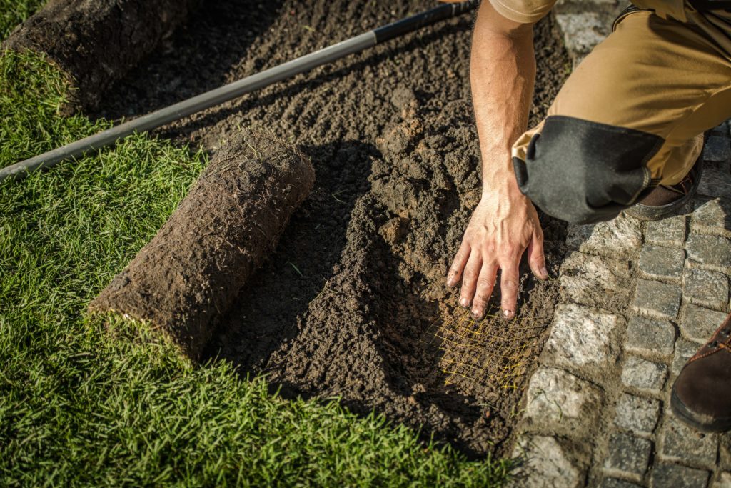 Laying new turf