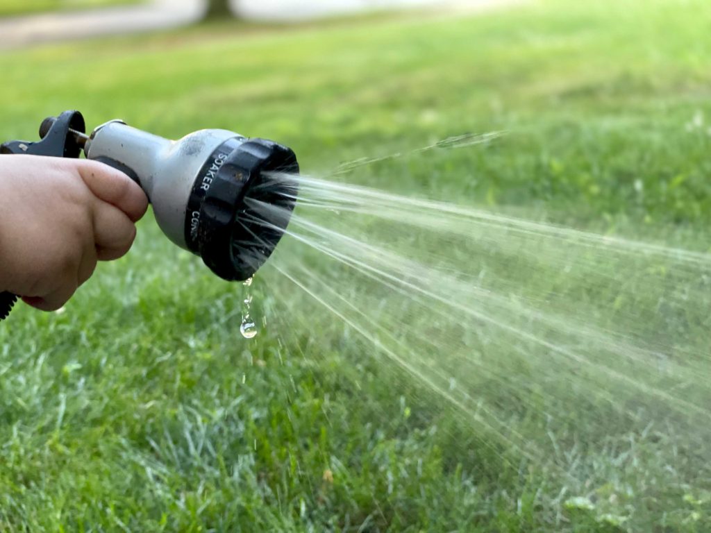 lawn maintenance watering