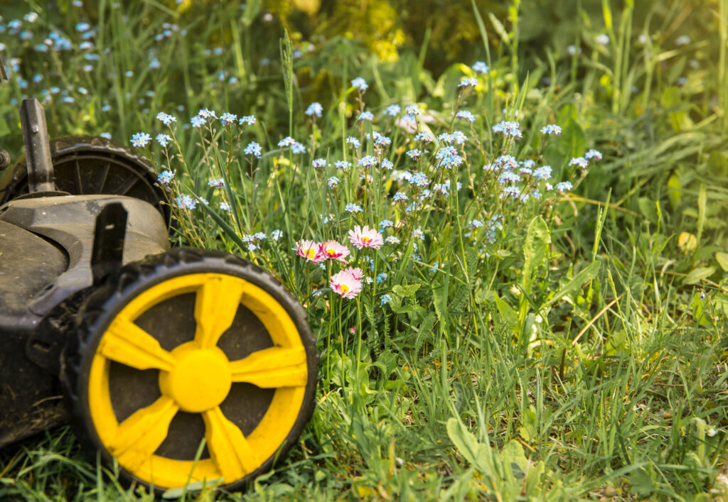 lawn maintenance 