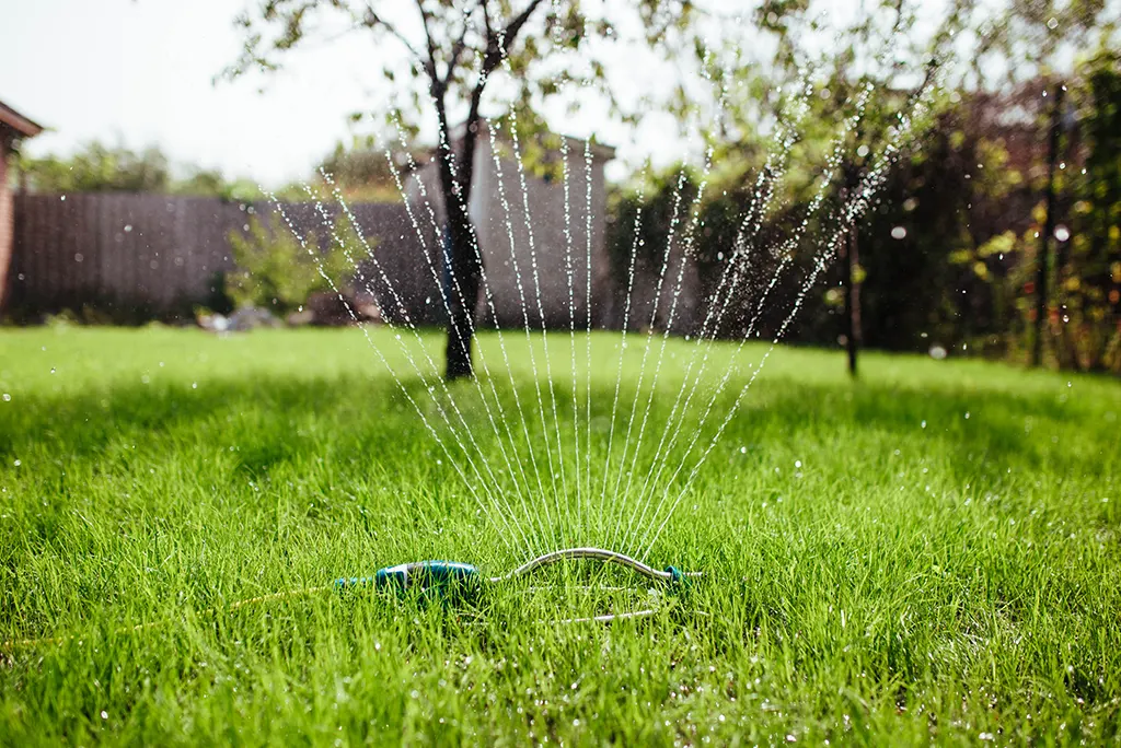 Lawn Watering