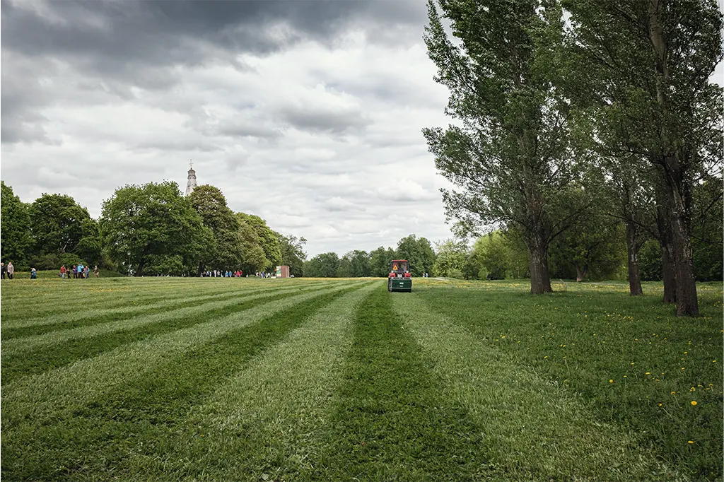 choosing turf