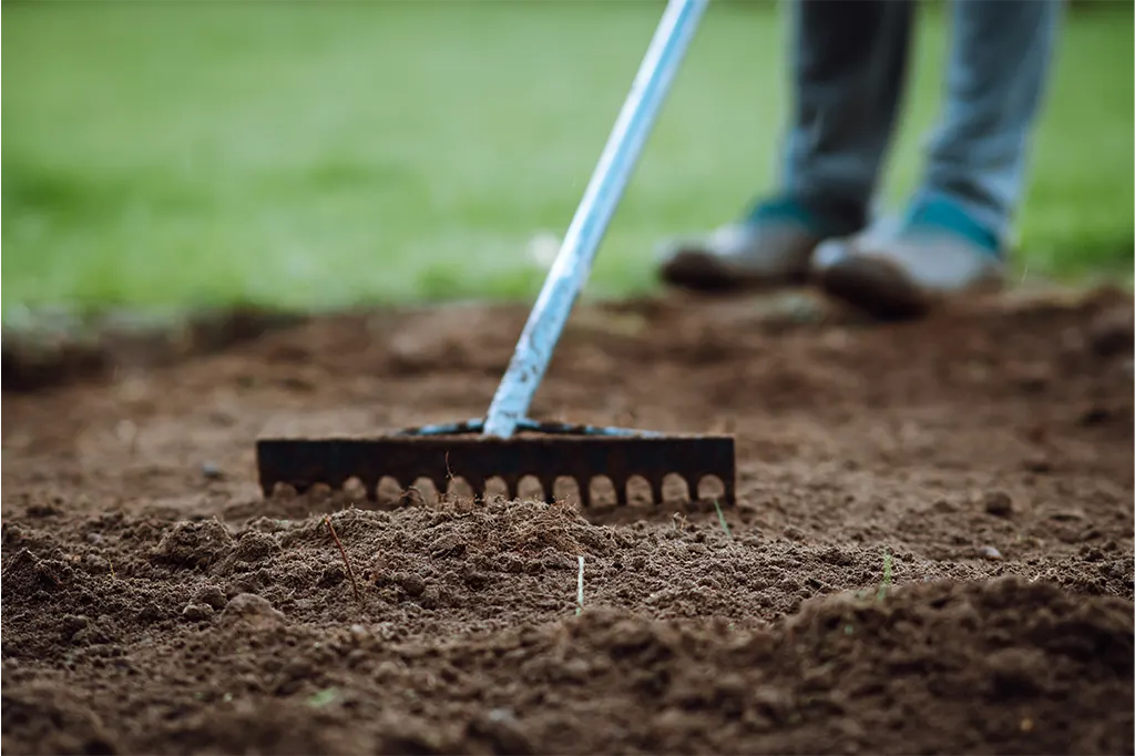 how to prepare soil for sod